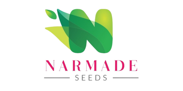 Client brand logo 1